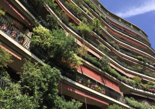 Il bosco verticale ante litteram