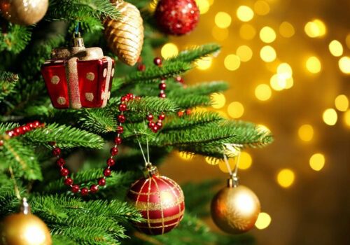 La storia dell’Albero di Natale