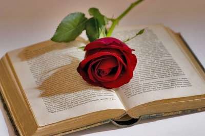 Il giorno dei libri e delle rose