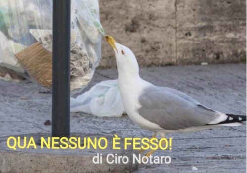 # Qua nessuno è fesso! #