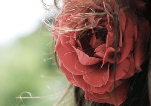 Un fiore tra i capelli